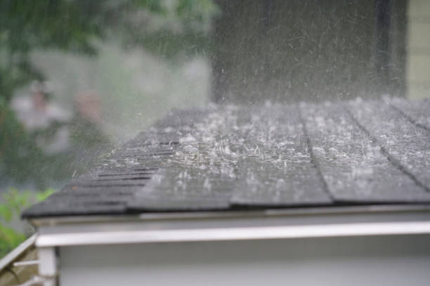 Best Storm Damage Roof Repair  in Goodman, MS